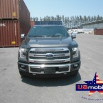 2015 Ford F150 Crew Cab Short Box 4x4 Platinum